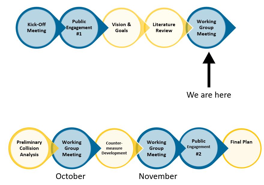 Safety Action Plan Timeline October 2024