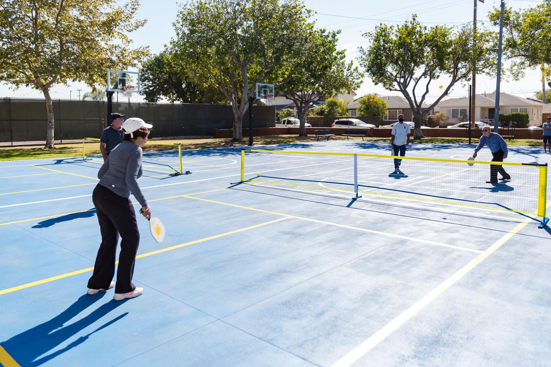 Picklle Ball Game